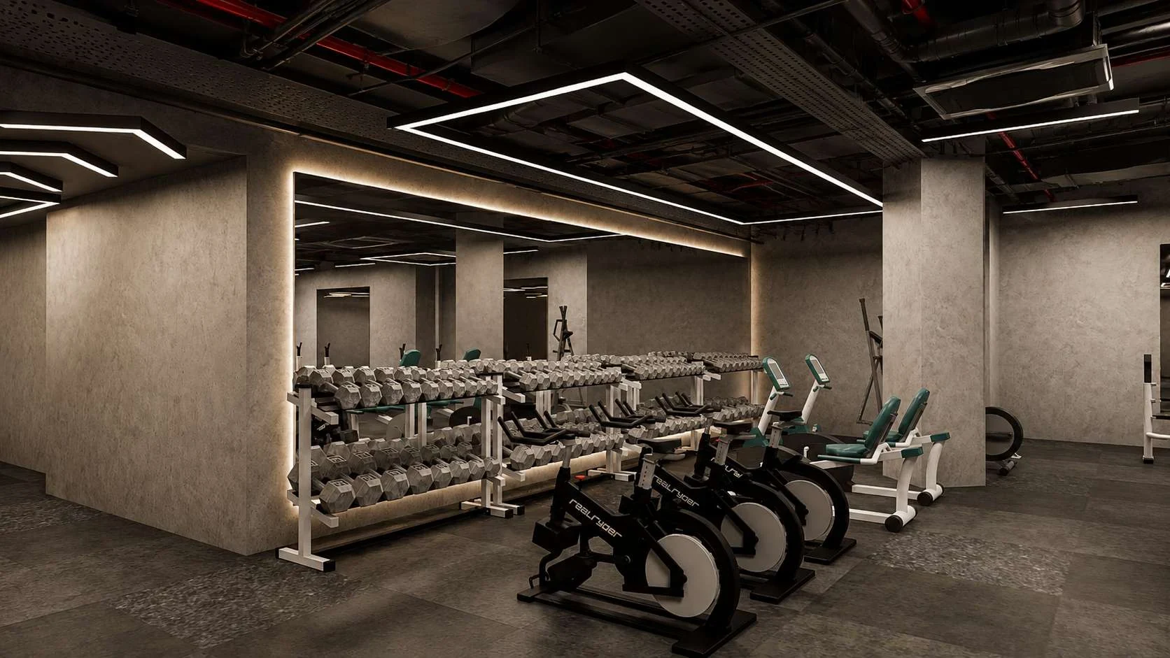 Cardio & Spin Zone